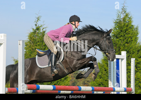 Jeune femme équitation sur cheval Trakehner - Show Jumping Banque D'Images