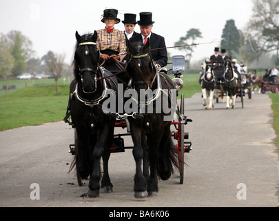 Chevaux carrioles à la London Harness Horse Parade Banque D'Images