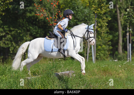 Girl riding Pony Équitation allemande sur Banque D'Images