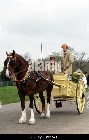 Transport de chevaux tirant au London Harness Horse Parade Banque D'Images