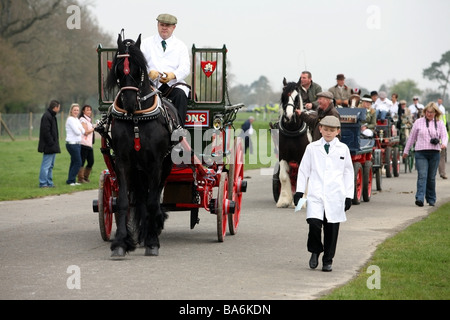 Magnifiques chevaux carrioles à la London Harness Horse Parade Banque D'Images