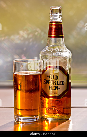 Best bitter Old Speckled Hen en bouteille et verre pétillant et rétroéclairé à Sun Banque D'Images