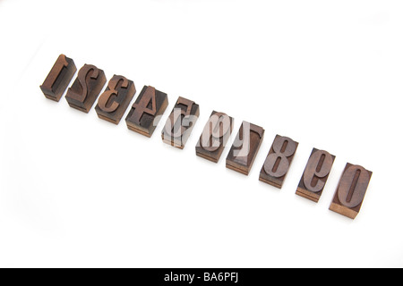 La typographie en bois bloque isolated on a white background studio Banque D'Images