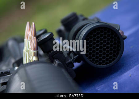 Balles différentes sont disposés dans la chambre d'un fusil automatique. Seront-elles utilisées pour la guerre ou de protection ? 2e amendement Banque D'Images