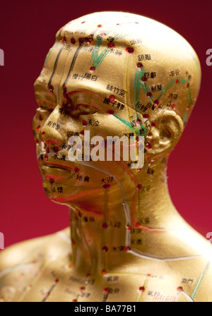 Modèle de tête humaine avec les points d'acupuncture Banque D'Images