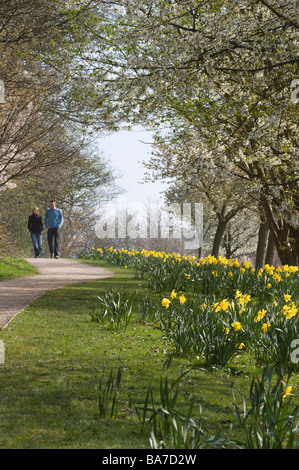 Couple strolling in Golden Acre Park Nature Reserve off Arthington Lane Leeds West Yorkshire Angleterre Angleterre Europe Banque D'Images