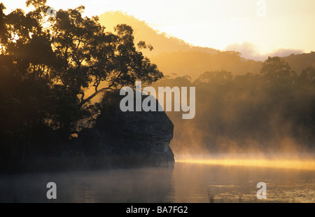 Tôt le matin à Dunns, marais du parc national Wollemi, New South Wales, Australie Banque D'Images
