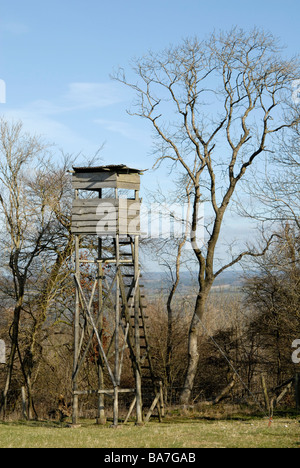 Tour d'observation donnant sur terrain de chasse sur le bord des South Downs, West Sussex, Angleterre Banque D'Images