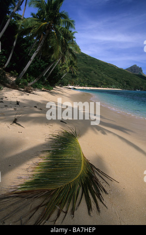 Plage de sable avec des palmiers, des pieuvres Bay sur Waya Island, Yasawa group, Fiji, South Sea Banque D'Images