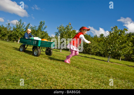 Une fille et son frère (âges 6 et 4) tirer un chariot à Butternut Farm à Rochester, New Hampshire. Banque D'Images