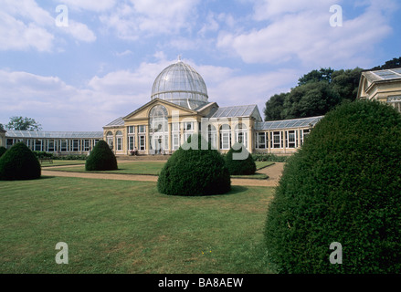 La grande véranda et des buissons d'ifs à Syon Park Brentford, Middlesex, Angleterre, Royaume-Uni Banque D'Images