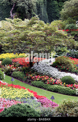 Superbe affichage floral à Butchart Gardens Banque D'Images