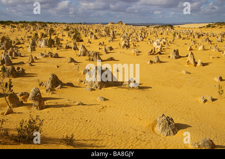 Pinacles calcaires au Parc National de Nambung près de Cervantes, l'ouest de l'Australie. Banque D'Images