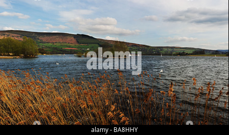 Vue panoramique sur le crannog dans le lac de Llangorse, au pays de Galles. Banque D'Images