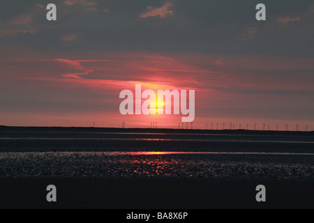 Coucher de soleil sur les éoliennes. Banque D'Images