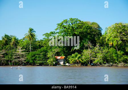 Un camp de jungle et près de Parc National de Tortuguero Costa Rica Amérique Centrale Banque D'Images