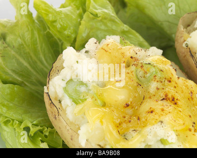 Des Pommes garnie de fromage fondu et une salade isolé sur un fond blanc avec aucun peuple et un chemin de détourage Banque D'Images