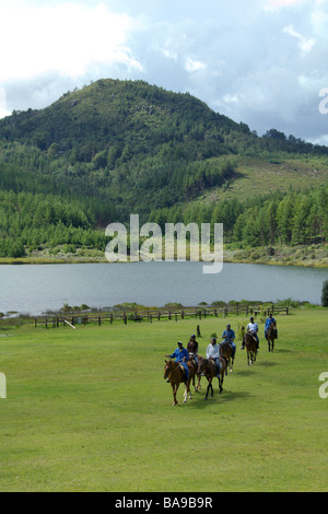 Les touristes peuvent s'offrir le luxe de l'un des plus grands resorts Zimbabwe Troutbeck resort au Zimbabwe's eastern highlands Banque D'Images