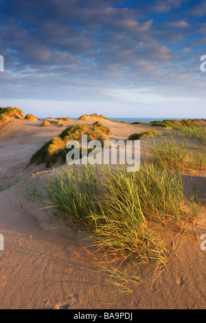 Les dunes de sable de Formby Point Merseyside England Grande-bretagne Banque D'Images