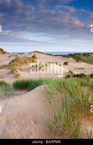 Les dunes de sable de Formby Point Merseyside England Grande-bretagne Banque D'Images