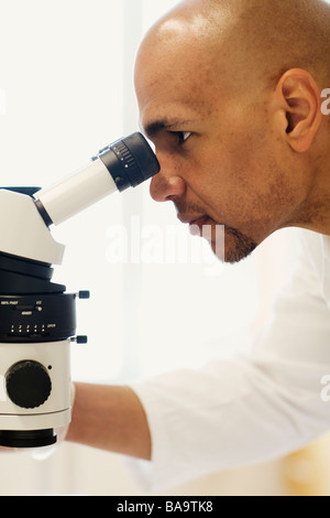 Un chercheur dans un laboratoire, en Suède. Banque D'Images