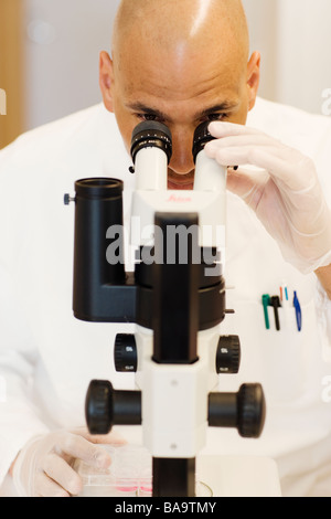 Un chercheur dans un laboratoire, en Suède. Banque D'Images