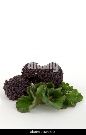 Purple Sprouting Brocoli Banque D'Images