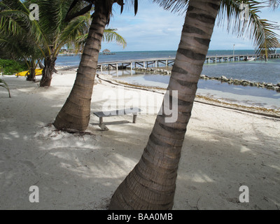 Lever du soleil et banc en bois vide sur Ambergris Caye à Belize Banque D'Images