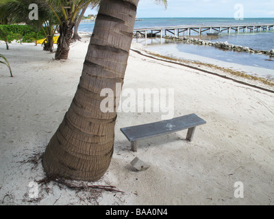 Lever du soleil et banc en bois vide sur Ambergris Caye à Belize Banque D'Images