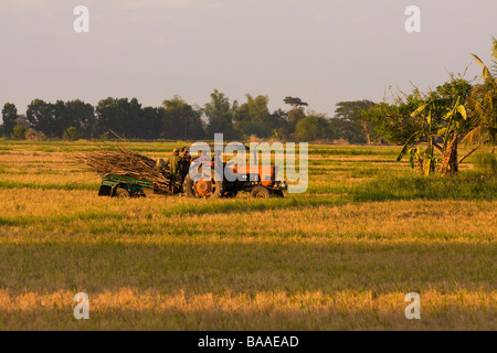 Un vieux tracteur dans une rizière dans les Philippines Banque D'Images