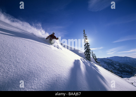 Ski homme poudre profonde dans l'Utah. Banque D'Images