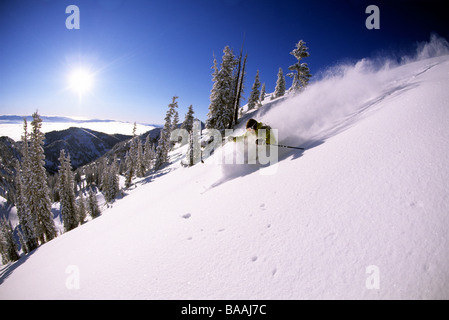 Ski homme poudre profonde dans l'Utah. Banque D'Images