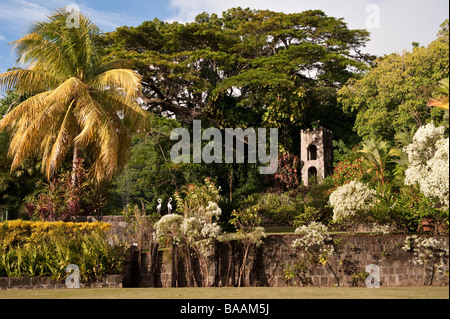 Bell Estate dans le beau jardin à Romney Manor sur l'île des Caraïbes de St Kitts Banque D'Images