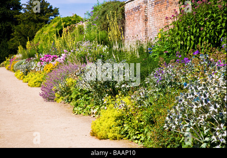 Vivace herbacée colorés de l'été sur la frontière d'une journée ensoleillée à Wheatley Jardins Waterperry Oxfordshire England UK Banque D'Images