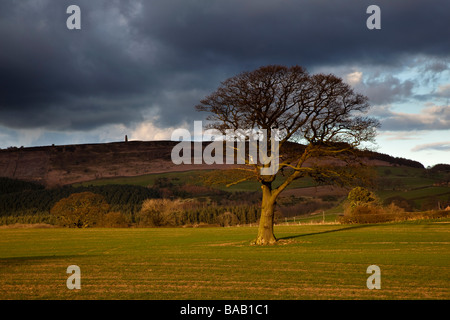 Captain Cooks Monument sur Moor d'Easby près de Great Ayton North Yorkshire Banque D'Images