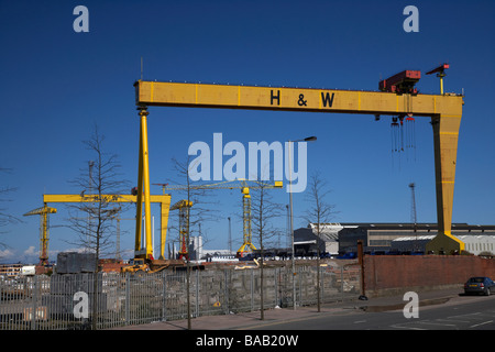 Les célèbres grues Harland and Wolff Samson et Goliath au chantier trimestre titanic belfast irlande du nord de l'île de queens uk Banque D'Images