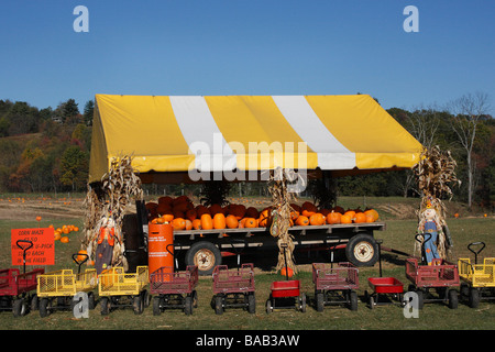 Paysage rural américain d'automne Hocking Hills Ohio aux États-Unis récolté sur un champ avec des citrouilles ventes à l'extérieur personne d'au-dessus de l'agriculture horizontale haute résolution Banque D'Images