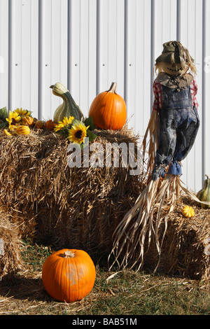 Vue sur mannequin habillé pour l'Halloween l'automne dans l'Ohio USA United States Banque D'Images