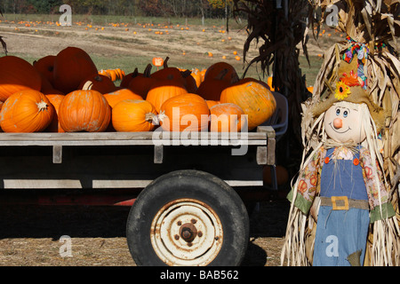 Marché fermier vendant des citrouilles orange et des courges ventes en plein air Hocking Hills pendant l'automne images photos dans l'Ohio États-Unis horizontal haute résolution États-Unis Banque D'Images