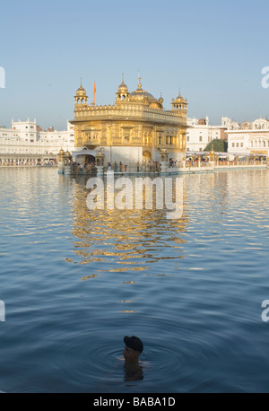 Dans l'étang de baignade Sikh entourant le Golden Temple, Amritsar, Inde Banque D'Images