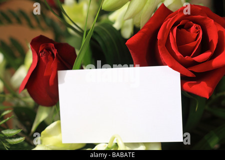 Une rose rouge et des orchidées avec une carte blanche pour un message Banque D'Images