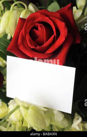 Une rose rouge et des orchidées avec une carte blanche pour un message Banque D'Images