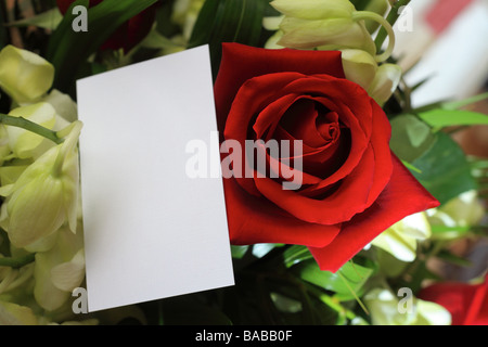 Une rose rouge et des orchidées avec une carte blanche pour un message Banque D'Images