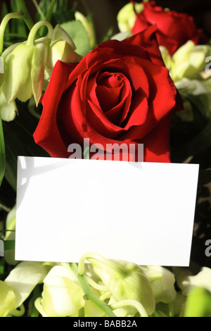 Une rose rouge et des orchidées avec une carte blanche pour un message Banque D'Images