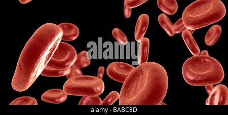 Rendu 3D de haute qualité d'un groupe de globules rouges du sang qui coule Banque D'Images