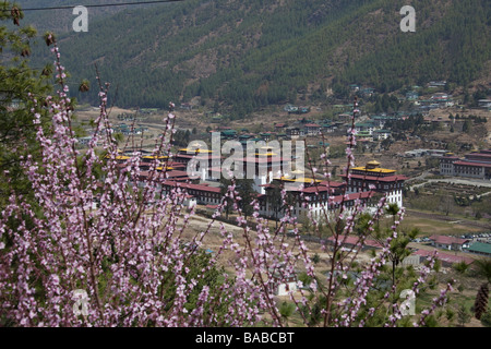 Vue générale d'Tashichoedzong Thimphu, capitale du Bhoutan, jour de printemps ensoleillé, les toits verts paysage urbain. 91083 Bhutan-Thimphu Banque D'Images