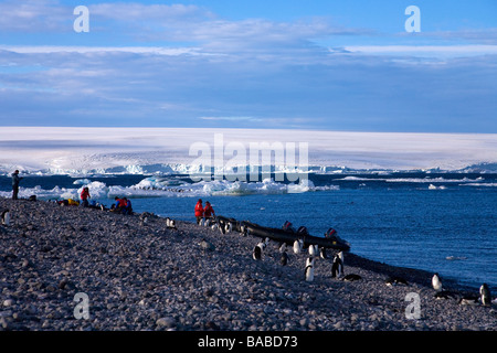 Adelie penguin Pygoscelis adeliae se mêlent aux touristes et bateaux zodiac sur l'île Paulet Péninsule Antarctique Antarctique Banque D'Images