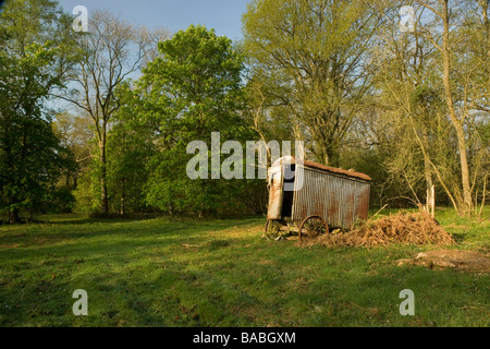 Cabane de berger délabrée dans une clairière Banque D'Images