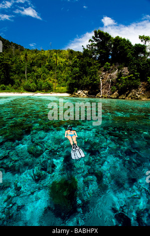 Plongée avec tuba dans Raja Empat, Papouasie, Indonésie, femme diver, bikini, l'eau claire, l'eau peu profonde, une grande visibilité, fotosub Banque D'Images