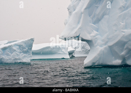 Pleneau Bay, Antarctique Banque D'Images